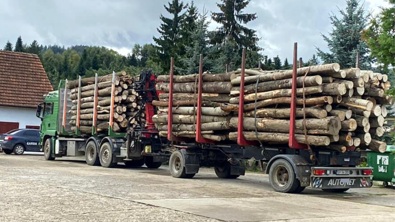 Interpelări Autorități: Sesizările activistului de mediu Daniel Bodnar