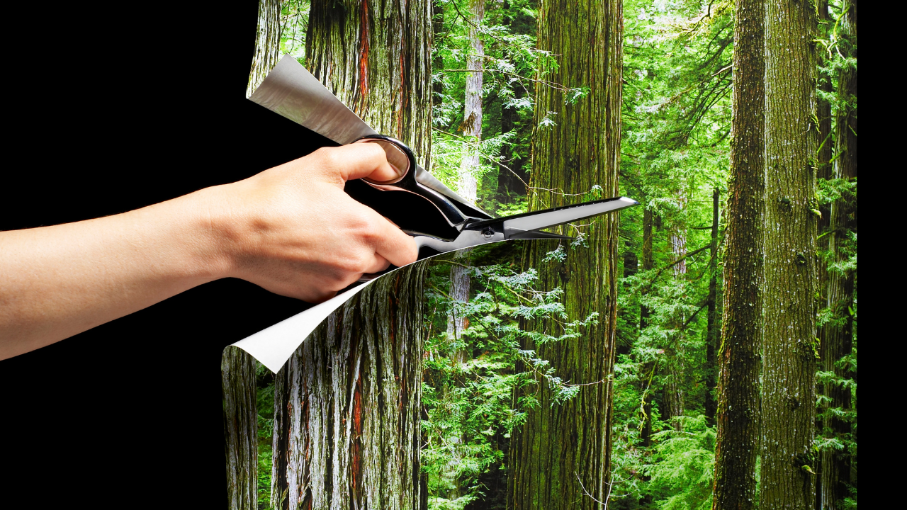 Interpelări Autorități: Ariile naturale protejate din România